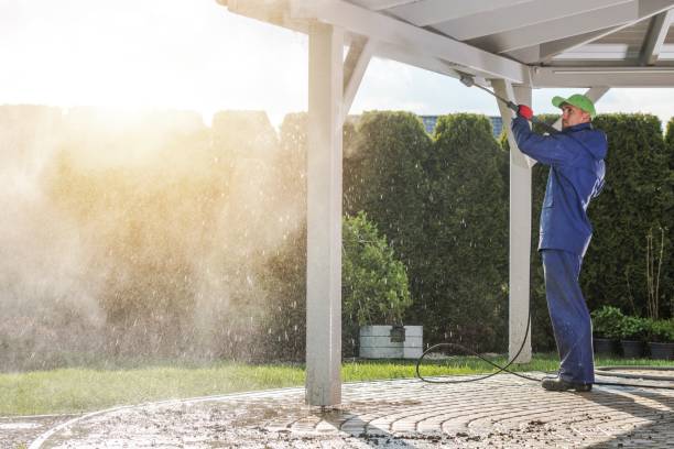 Best Driveway Pressure Washing  in Odenville, AL